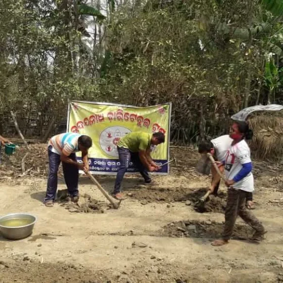 Pic of planting vegetable plants