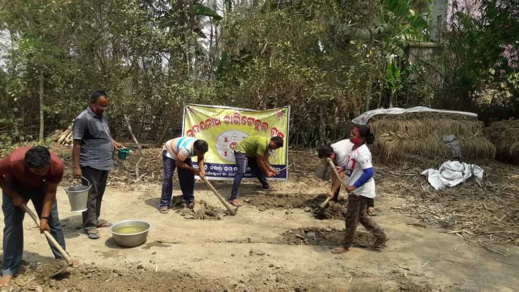 Pic of planting vegetable plants