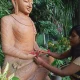 Pic of girls tying the holy thread to Buddha Statue